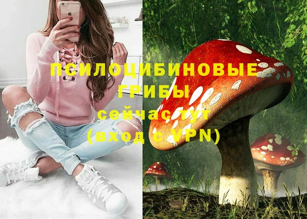 тгк Кукмор