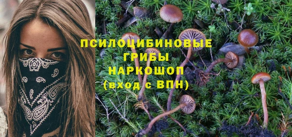 меф Аркадак