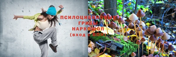 spice Армянск