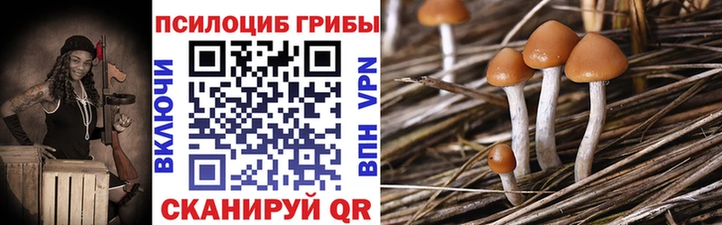 Псилоцибиновые грибы Magic Shrooms  наркошоп  Боровичи 